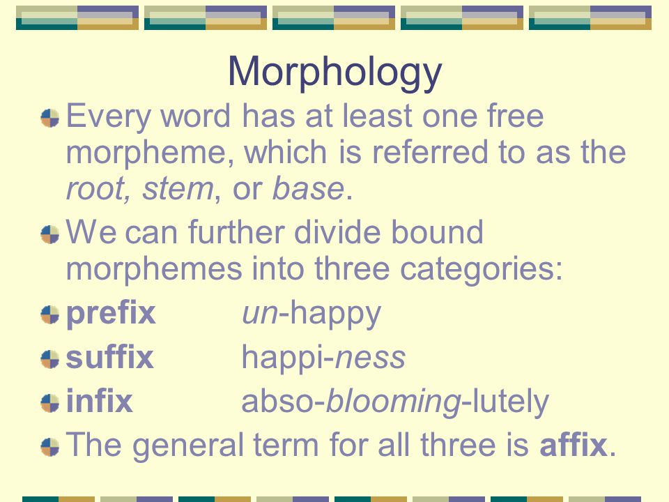 PDF) Review of: Universals in Comparative Morphology